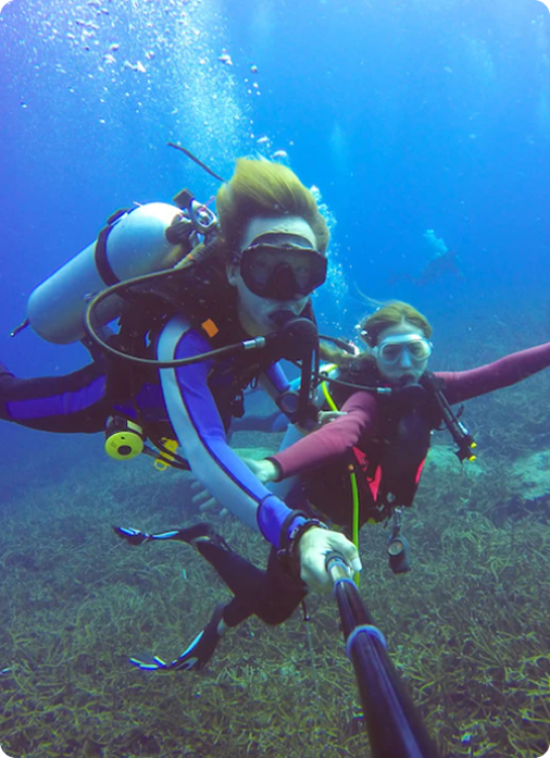 ACQUALIAN® Marine Wonders: Guided Snorkeling Safari